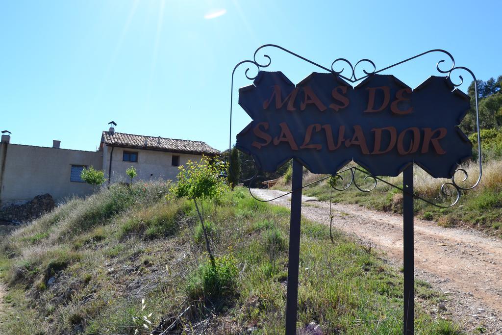 Mas De Salvador Villa Penarroya De Tastavins Exterior photo